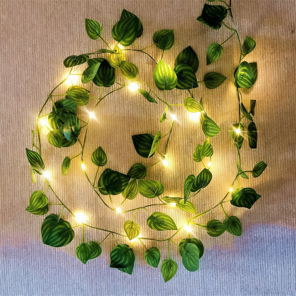 Lampu LED Daun Rotan Hijau, La - Outdoor Power For Wedding ulasan dan harga